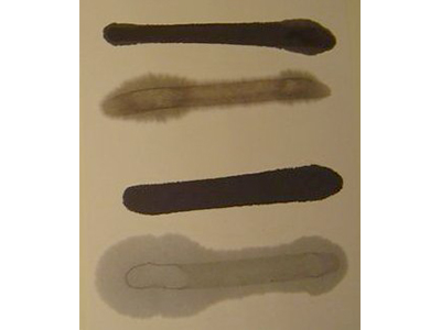 書道用紙 桂月